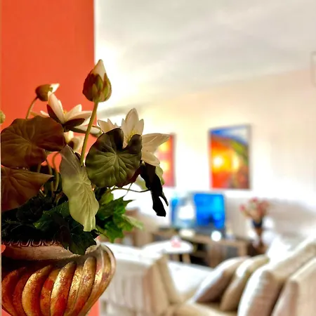 Light Holidays Apartmán Golem (Tirana)