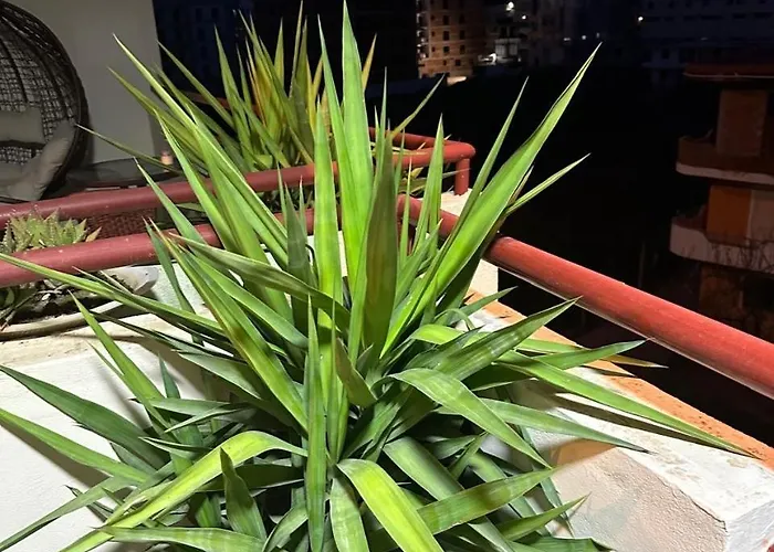 Light Holidays Apartamento *